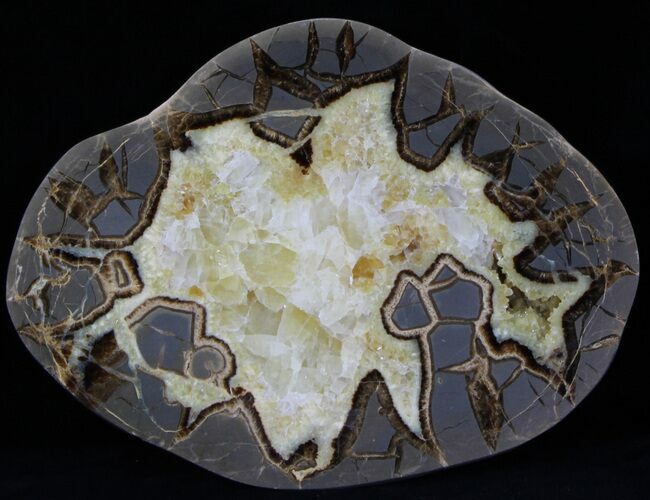 Polished Septarian Slice With Crystals - Utah #33104